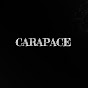 carapace